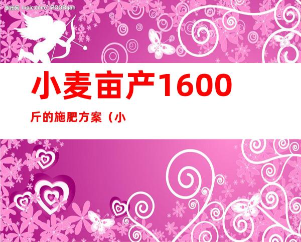 小麦亩产1600斤的施肥方案（小麦亩产量一般多少公斤）