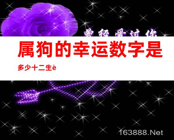 属狗的幸运数字是多少 十二生肖幸运数字查询表