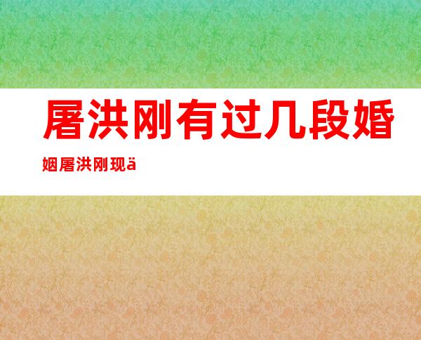 屠洪刚有过几段婚姻屠洪刚现任老婆是谁 _屠洪刚有过几段婚姻