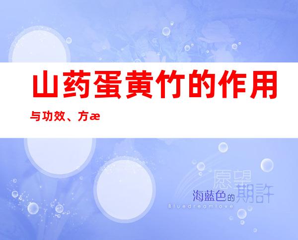 山药蛋黄竹的作用与功效、方法——强骨强身的功效与营养价值