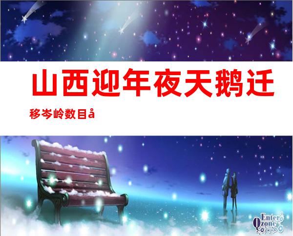 山西迎年夜天鹅迁移岑岭 数目已经超8000只