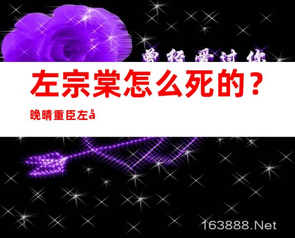 左宗棠怎么死的？晚晴重臣左宗棠是被谁害死的 _人物