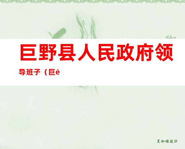 巨野县人民政府领导班子（巨野县人民政府县长是谁）