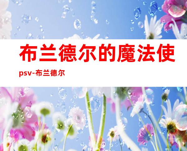 布兰德尔的魔法使psv-布兰德尔中学怎么样