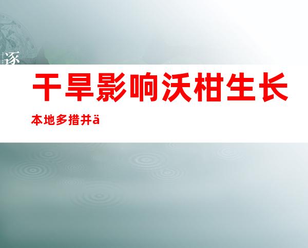 干旱影响沃柑生长 本地多措并举抓紧摆设抗旱事情