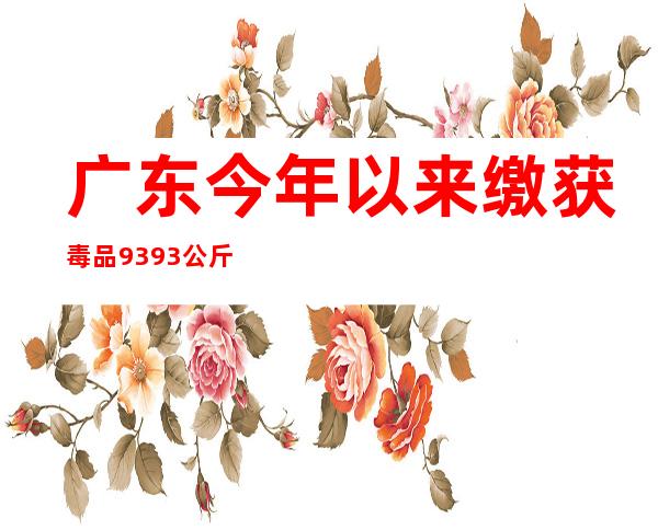 广东今年以来缴获毒品939.3公斤 联合柬埔寨警方破获多宗大案