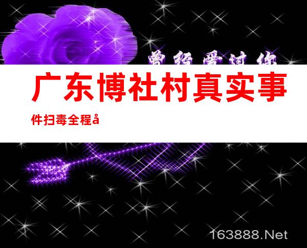 广东博社村真实事件 扫毒全程多少人被判死刑