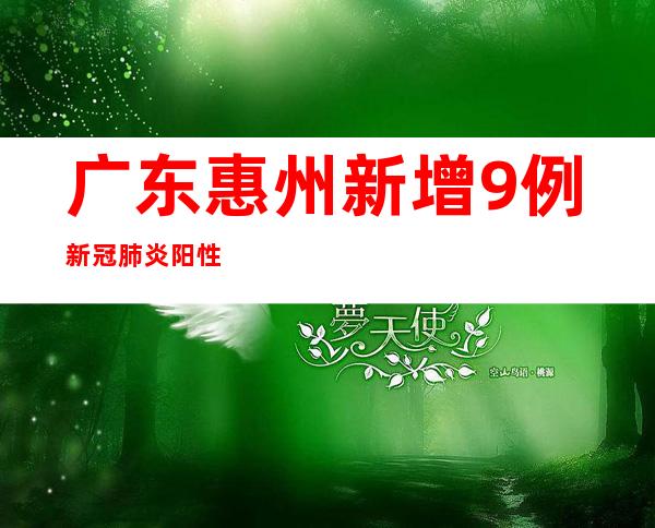 广东惠州新增9例新冠肺炎阳性个案