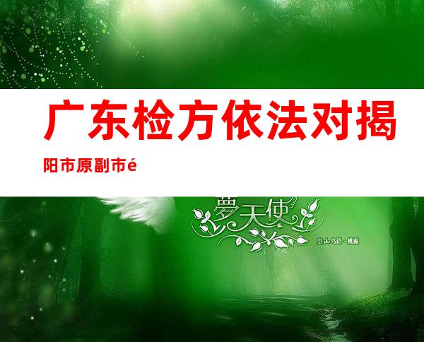 广东检方依法对揭阳市原副市长吴毅青涉嫌受贿案提起公诉