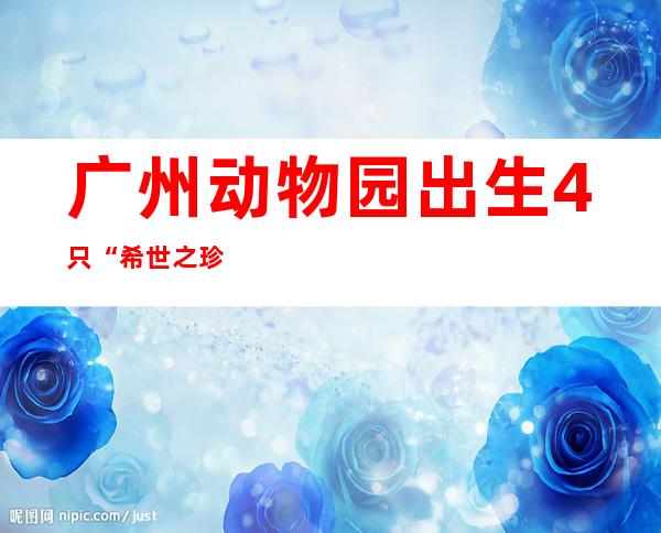 广州动物园出生4只“希世之珍”海南坡鹿宝宝