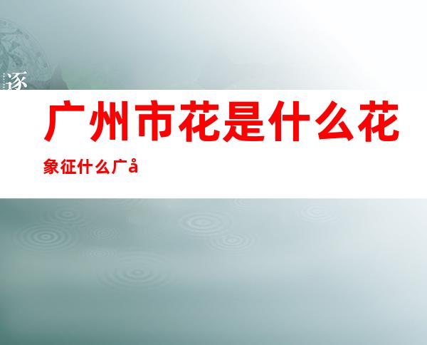 广州市花是什么花象征什么 广州市民喜爱木棉花