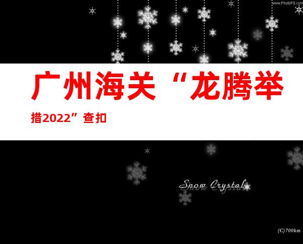 广州海关“龙腾举措2022”查扣侵权嫌疑货品逾358万件