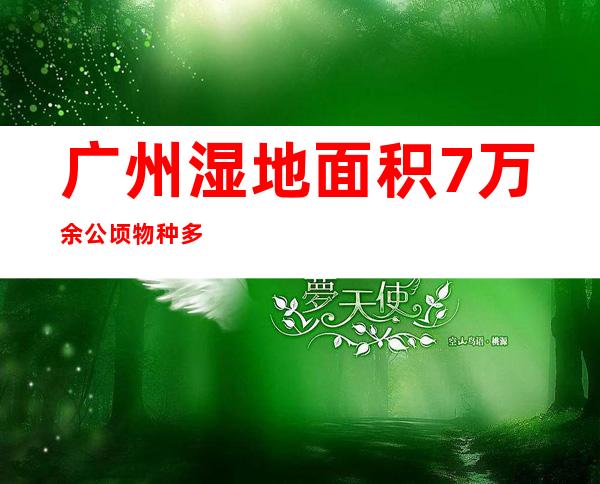 广州湿地面积7万余公顷 物种多样性不竭丰硕