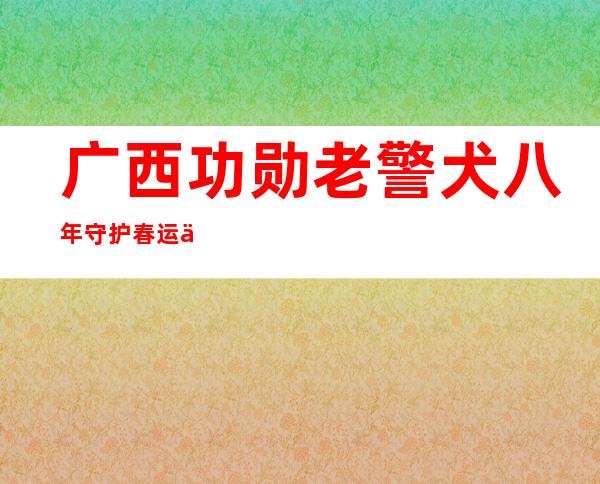 广西功勋老警犬八年守护春运 今年将值最后一班岗