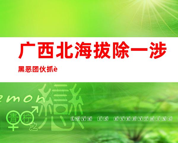 广西北海拔除一涉黑恶团伙抓获32名犯法嫌疑人