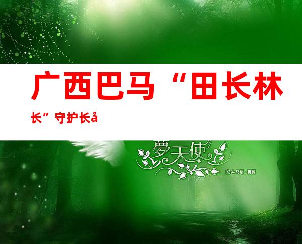 广西巴马“田长+林长”守护长命乡生态情况