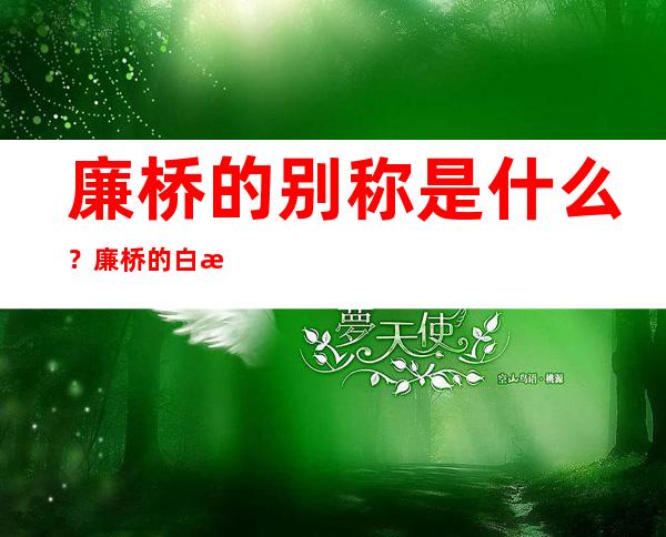 廉桥的别称是什么？廉桥的白梗学名、药名又叫什么。