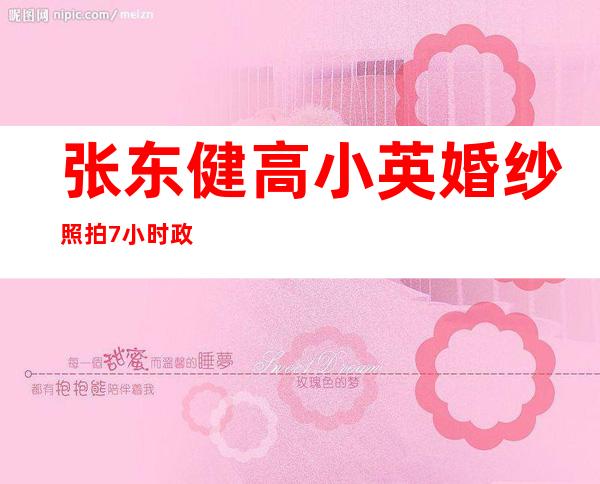 张东健高小英婚纱照拍7小时 政界高官担当主婚人——网