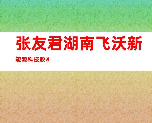 张友君 湖南飞沃新能源科技股份有限公司（张友君四川大学PRL）