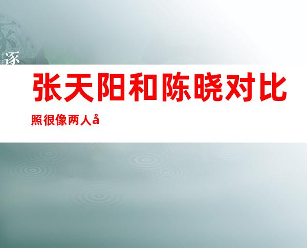 张天阳和陈晓对比照很像 两人傻傻分不清楚到底什么关系揭秘