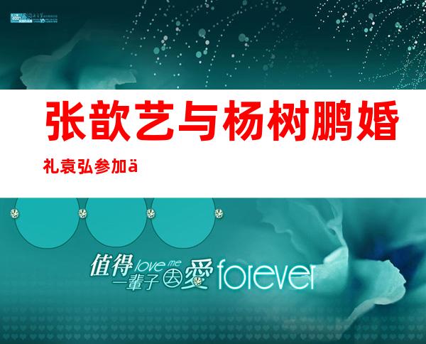 张歆艺与杨树鹏婚礼袁弘参加了吗（张歆艺与杨树鹏为何闪婚闪离）