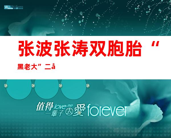 张波张涛双胞胎“黑老大”二审被判17年