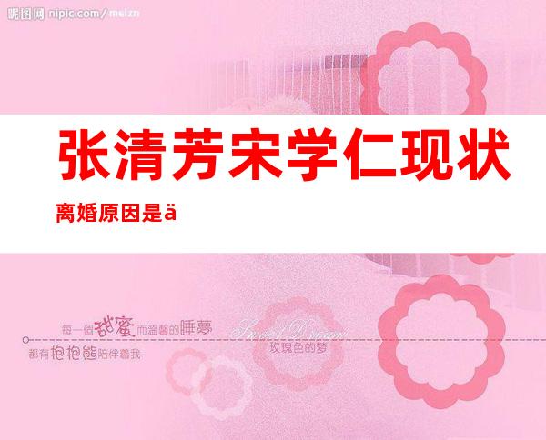 张清芳宋学仁现状离婚原因是什么？