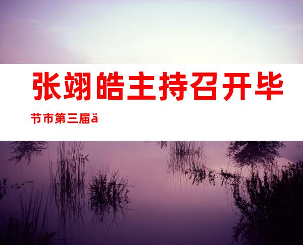 张翊皓主持召开毕节市第三届人大常委会第2次主任会议（张诩菲这个名字多少分）