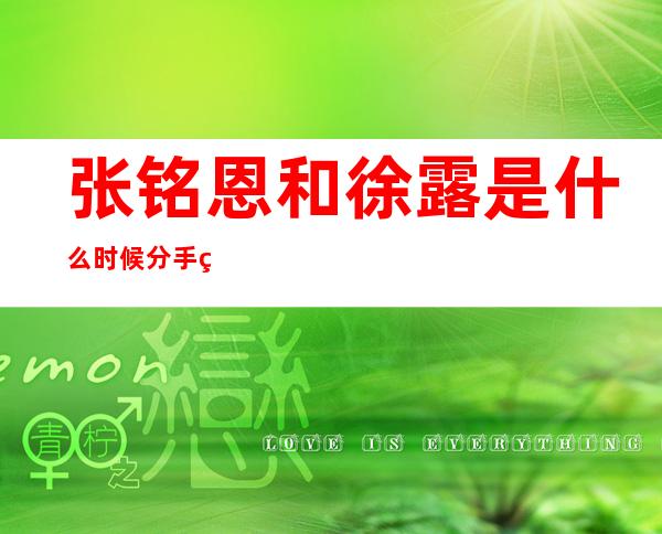 张铭恩和徐露是什么时候分手的？两人分手的原因是什么？