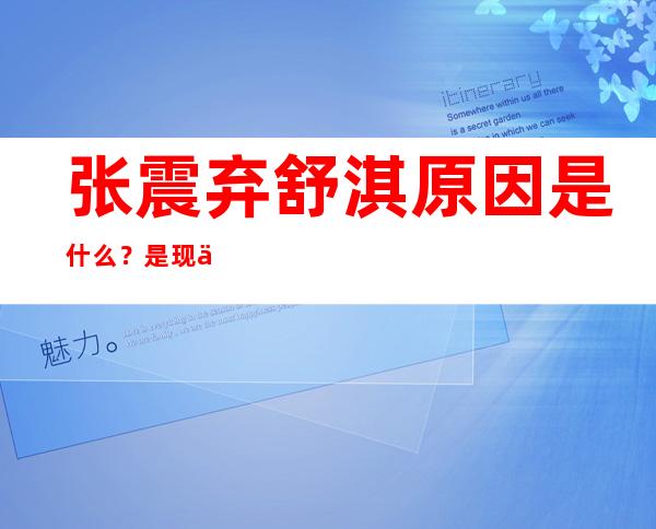 张震弃舒淇原因是什么？是现任妻子庄雯如的插足？