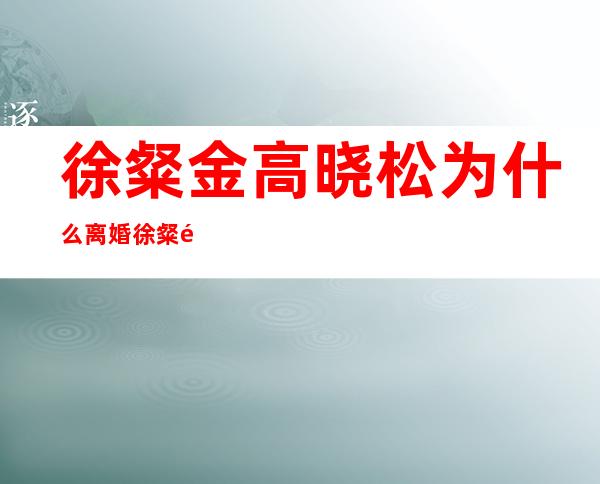 徐粲金高晓松为什么离婚 徐粲金出轨真相