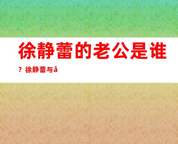 徐静蕾的老公是谁？徐静蕾与四个男人的绝对隐私