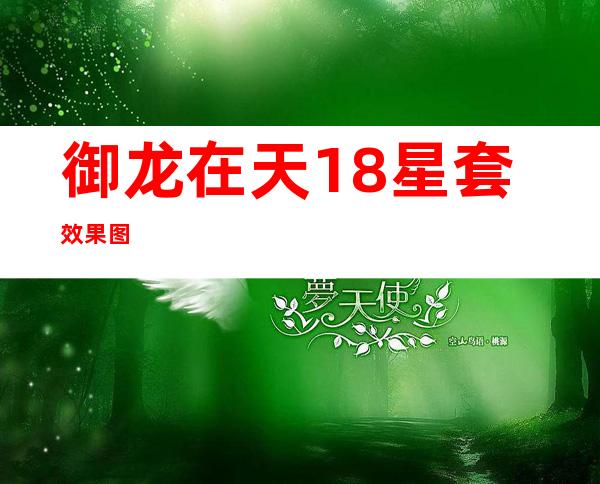 御龙在天18星套效果图