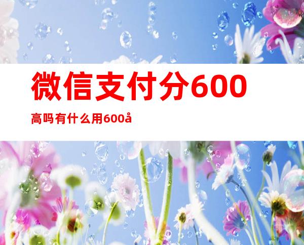 微信支付分600高吗有什么用600多分以上可以干嘛用（微信支付分600多怎么没有额度）