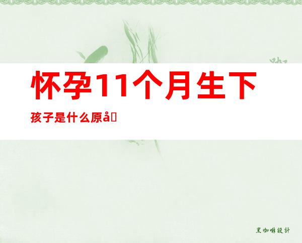 怀孕11个月生下孩子是什么原因（怀孕11个月才出生的人命运）