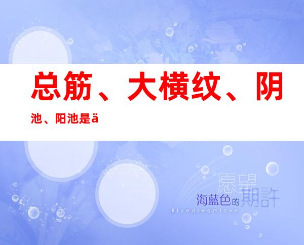 总筋、大横纹、阴池、阳池是什么关系?