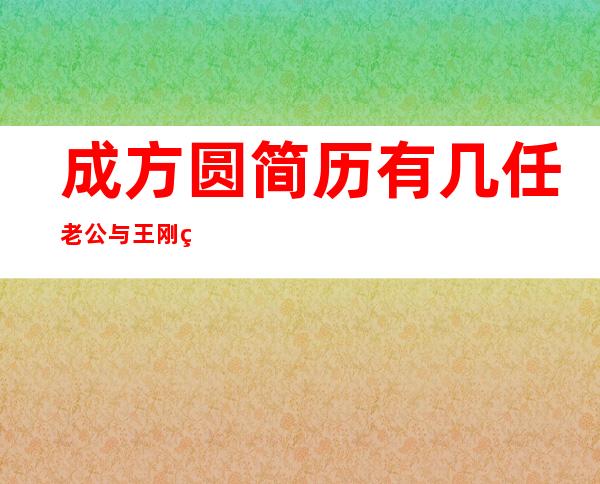 成方圆简历有几任老公 与王刚离婚后一直单身