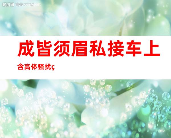 成皆须眉 私接车上含高体骚扰父搭客趁心面不屈 衡