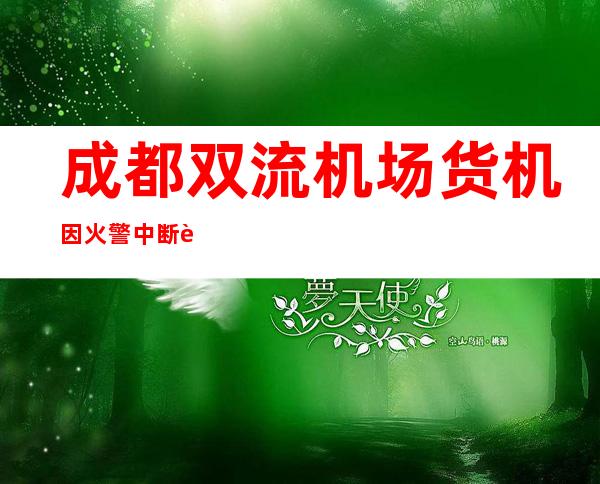 成都双流机场货机因火警中断起飞 经查暂未发现异常