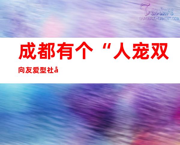 成都有个“人宠双向友爱型社区” 有端正，很柔软，还挺年青