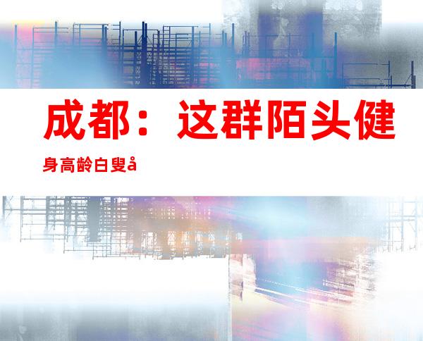 成都：这群陌头健身高龄白叟吸睛无数 均匀春秋60岁以上