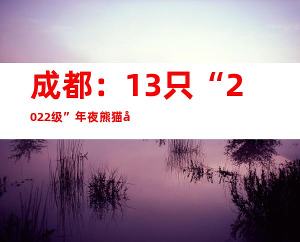 成都：13只“2022级”年夜熊猫宝宝首次集体表态