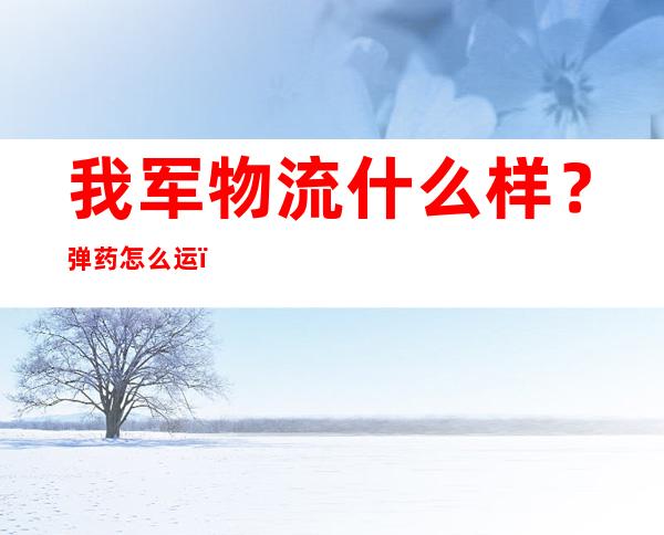 我军物流什么样？弹药怎么运？画面公开！