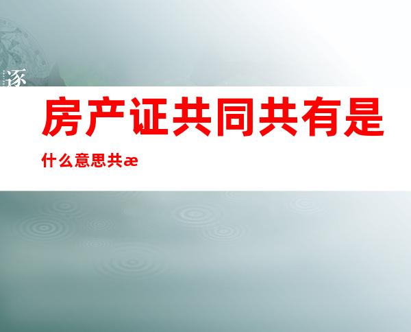 房产证共同共有是什么意思 共有份额1%和99%怎么回事