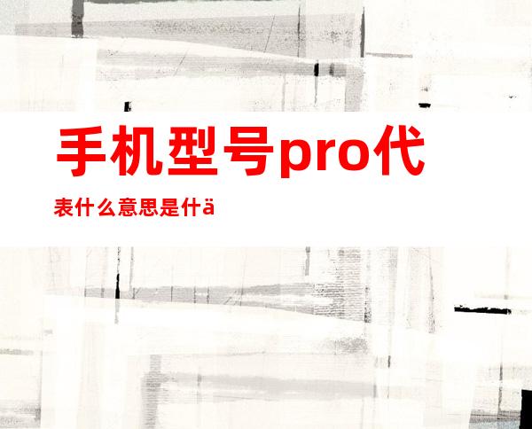 手机型号pro代表什么意思 是什么的缩写中文翻译