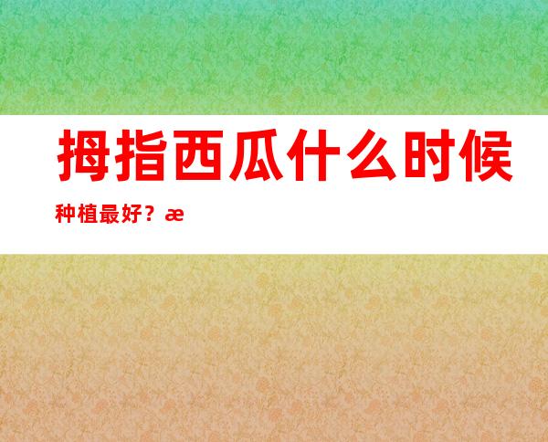 拇指西瓜什么时候种植最好？拇指西瓜哪里可以买到