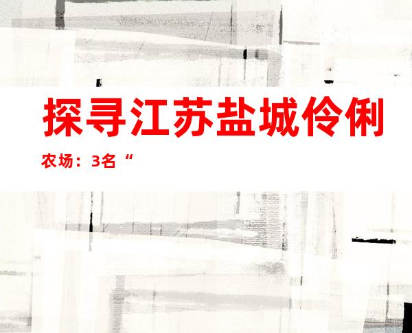 探寻江苏盐城伶俐农场：3名“90后”在“屏幕上种地”