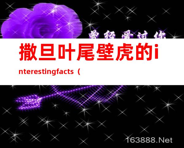 撒旦叶尾壁虎的interesting facts（撒旦叶尾壁虎是保护动物嘛）