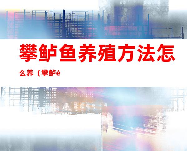 攀鲈鱼养殖方法怎么养（攀鲈鱼能养在鱼缸吗）