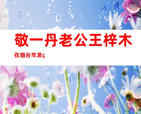 敬一丹老公王梓木在烟台市发生了什么事情?——敬一丹老公王梓木的简历